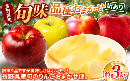 【先行予約】信州産 訳ありりんご【品種おまかせ】約3kg(8～12玉) 【秋映・シナノスイート・シナノゴールド・名月・サンふじ】《2026年10月上旬頃から発送》
