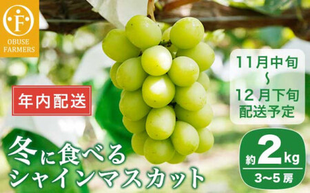 【年内配送】冬に食べるシャインマスカット 約2kg 3～5房 ［ おぶせファーマーズ ］ 年内発送 ぶどう フルーツ 果物 くだもの 長野県 産地直送 送料無料 令和8年産 【2026年11月中旬～12月下旬配送】[F-548]
