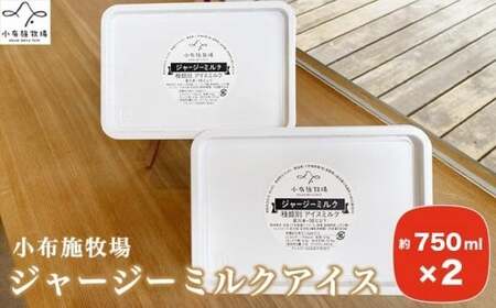 小布施牧場ジャージーミルクアイス 750ml × 2個 ［小布施牧場］アイスミルク アイス スイーツ デザート 菓子 お取り寄せ［A-26］