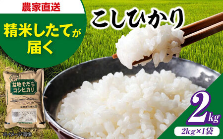 こしひかり 2kg 最短3日発送 スピード発送 令和7年産 [APBM023]米