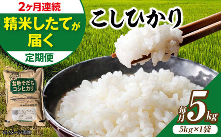 【全2回定期便】 米 盆地そだちこしひかり 5kg[APBM028]米