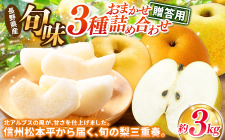 【先行予約】贈答用 信州松本平産 梨【幸水・豊水・南水】おまかせ詰め合わせセット約3kg(8～9玉）《2026年7月頃から発送》～清流と高原の風が育む、信州の香りと甘み～ 