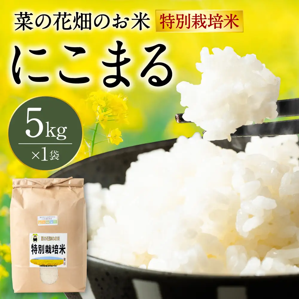 【令和7年産】 菜の花畑のお米 「特別栽培米」 5kg （5kg×1袋） にこまる 米 お米 精米 白米 ごはん ご飯 熊本