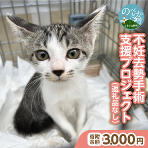 人と猫が互いに幸せになれるまちを目指して『不妊去勢手術支援プロジェクト』（返礼品はありません） N0159-9999995