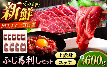 ふじ馬刺し 600g セット 3994 BHAD130 馬刺し
