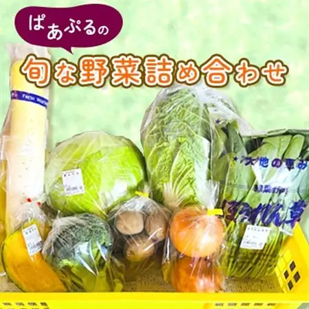 ぱあぷるの旬な野菜詰め合わせ【配送不可地域：離島】【1696633】