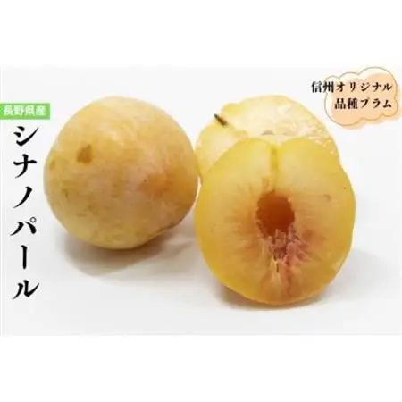 長野県のオリジナル品種　至高のプラム　シナノパール　4個【配送不可地域：離島】【1676949】