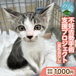 人と猫が互いに幸せになれるまちを目指して『不妊去勢手術支援プロジェクト』（返礼品はありません） N0159-9999997