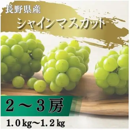【2026年先行予約開始!】長野県中野市産シャインマスカット 計1.0～1.2kg(2～3房)【配送不可地域：離島】【1682420】