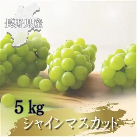 【2026年先行予約開始!】長野県中野市産シャインマスカット 5kg(8～12房)【配送不可地域：離島】【1682422】