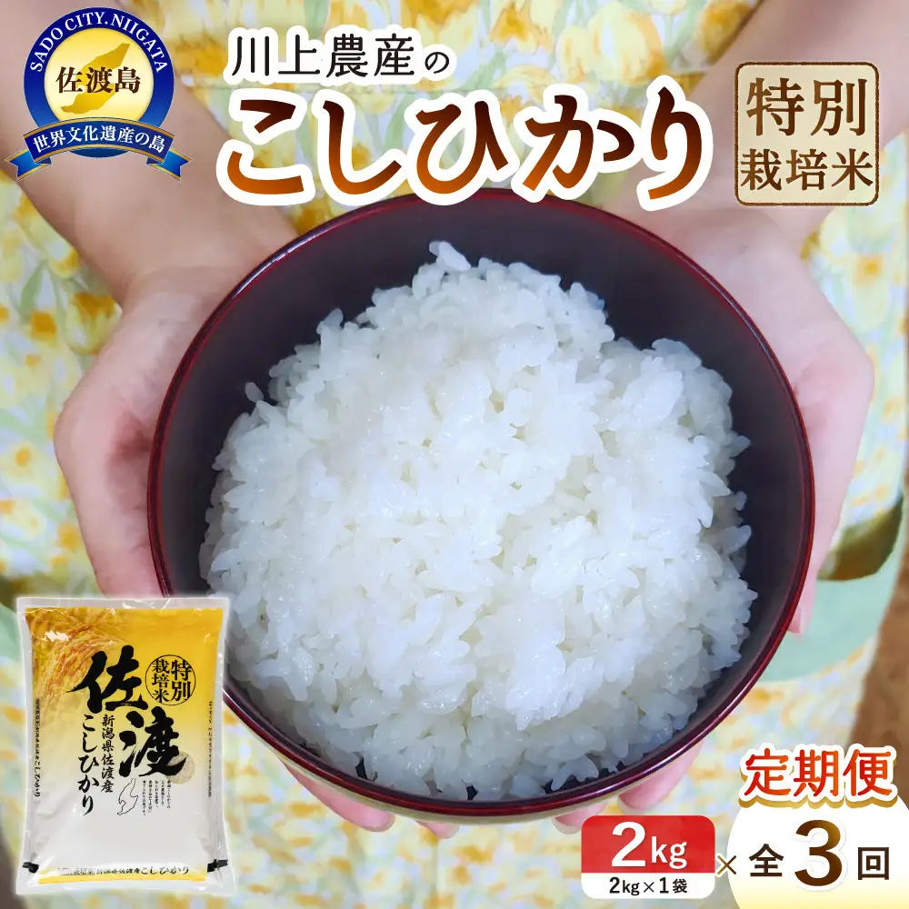 【レビューキャンペーン実施中！】令和7年産 佐渡 川上農産のコシヒカリ 定期便（2kg×全3回）
