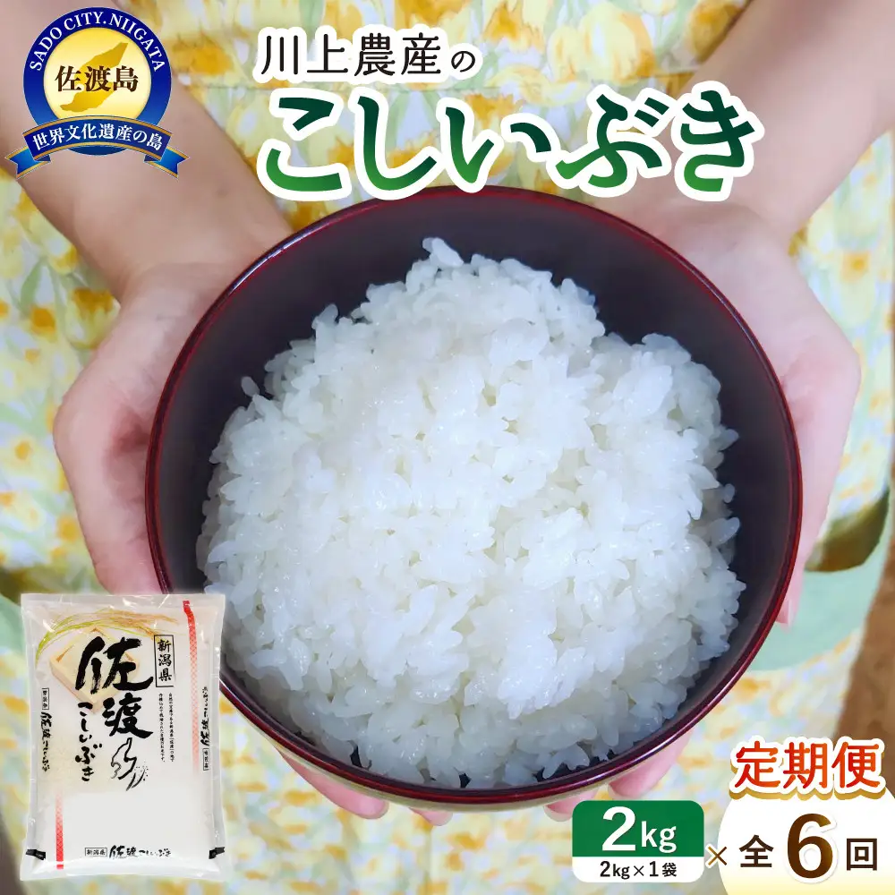 【レビューキャンペーン実施中！】令和7年産 佐渡 川上農産のこしいぶき 定期便（2kg×全6回）