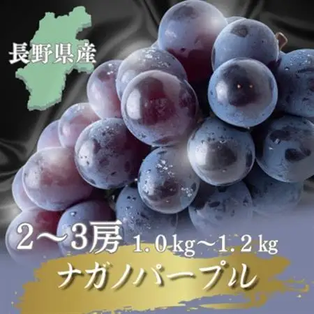 【2026年先行予約開始!】長野県中野市産ナガノパープル 計1.0～1.2kg(2～3房)【配送不可地域：離島】【1682457】