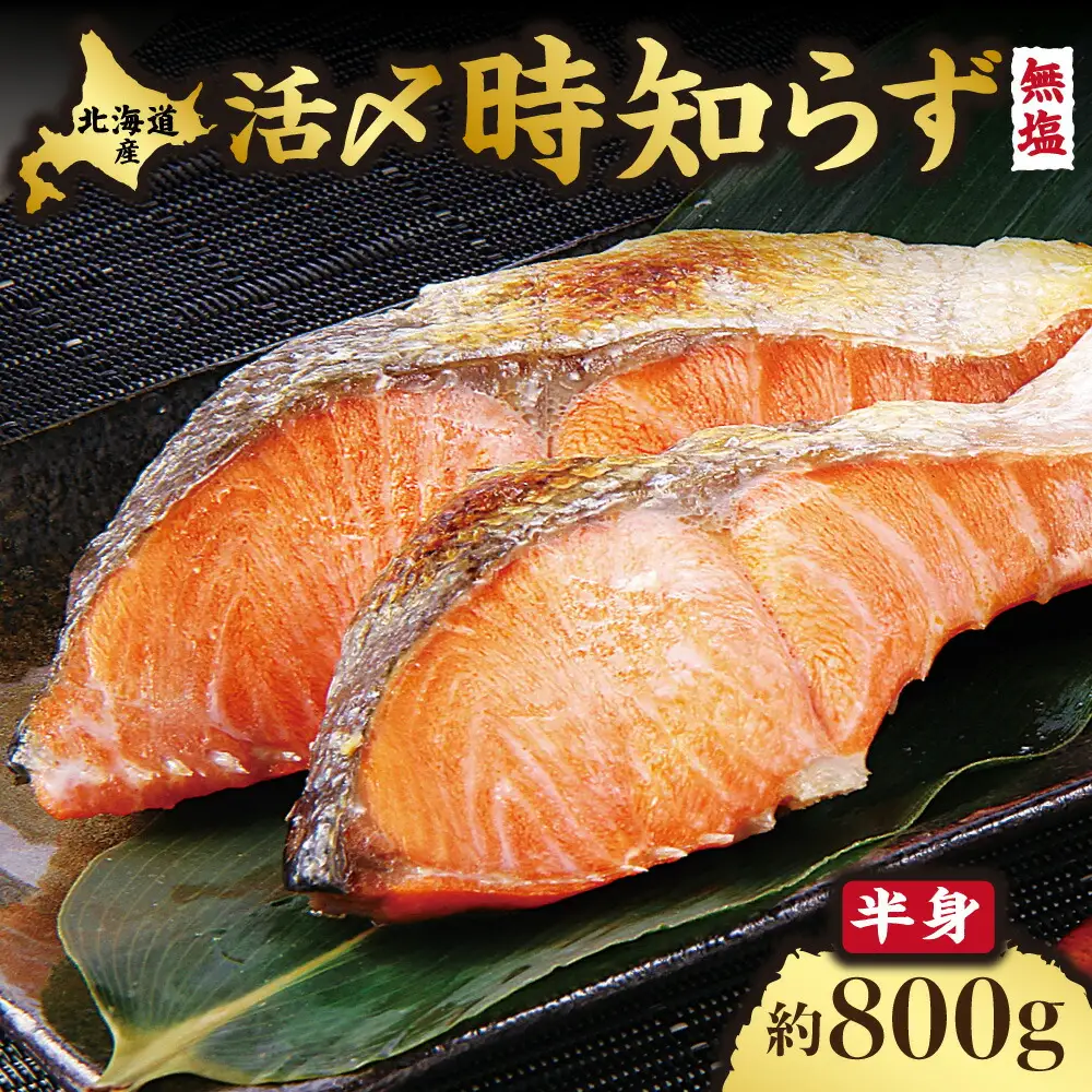 【先行受付】活〆 時しらず 鮭切身 無塩 天然 半身 800g 小分け 頭なし 知床斜里産