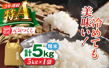 福岡県産 元気つくし 白米 5kg×1袋 [BGAF025]元気つくし