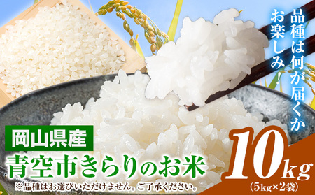 令和7年産 青空市きらりのお米 10kg