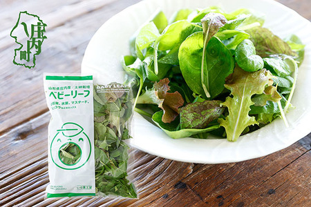 庄内産 ベビーリーフミックス 70g×1袋 土耕栽培 サラダ スムージー 若葉 野菜 生野菜 新鮮 山形県 冷蔵