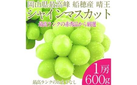 プレミアムシャインマスカット晴王 船穂Ver  赤秀ぶどう1房 約600g 【先行予約：2026年9月上旬～10月下旬発送予定】 船穂産 岡山県最高産地 赤秀品以上 岡山県産 皮ごと食べる みずみずしい 糖度保証 クール発送 満天フルーツ 倉敷市