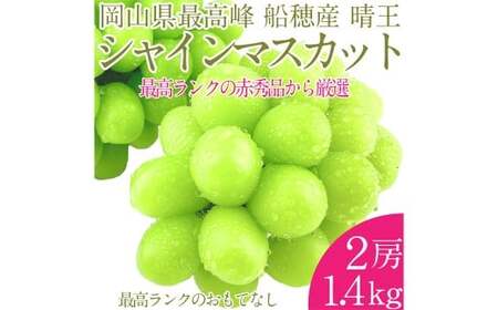 プレミアムシャインマスカット晴王 船穂Ver 赤秀ぶどう 2房 約1.4kg 【先行予約：2026年9月上旬～10月下旬発送予定】 船穂産 岡山県最高産地 赤秀品以上 岡山県産 皮ごと食べる みずみずしい 糖度保証 クール発送 満天フルーツ