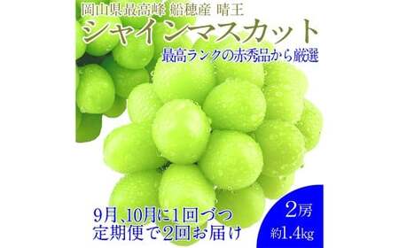 赤秀ぶどう プレミアム シャインマスカット 晴王 2房 約1.4kg 【先行予約：2026年9月上旬～10月下旬発送予定2回定期便】　船穂産 赤秀品以上 皮ごと食べる みずみずしい 糖度保証 岡山県産 満天フルーツ 定期便 冷蔵 岡山県 倉敷市