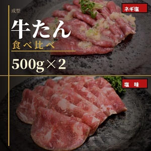 成型　牛たん　食べ比べ　各500ｇ×２パック【ttru041】