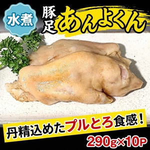 豚足（あんよくん）水煮【ttru045】