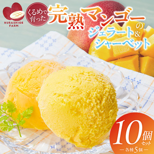 【2026年7月お届け】完熟マンゴーのジェラート＆シャーベット130ml×10個入り  〔Dw012-10〕