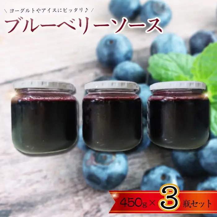 ブルーベリーソース3瓶セット ／ ブルーベリーソース フルーツソース ヨーグルトソース アイストッピング パンのお供 お菓子作り 手作りスイーツ 果実感 朝食グルメ 無添加風 シンプル素材 瓶入りソース ブルーベリージャム フルーツジャム レモン果汁 スイーツアレンジ デザートソース ギフト 食品セット 国産フルーツ 千葉県 No.359