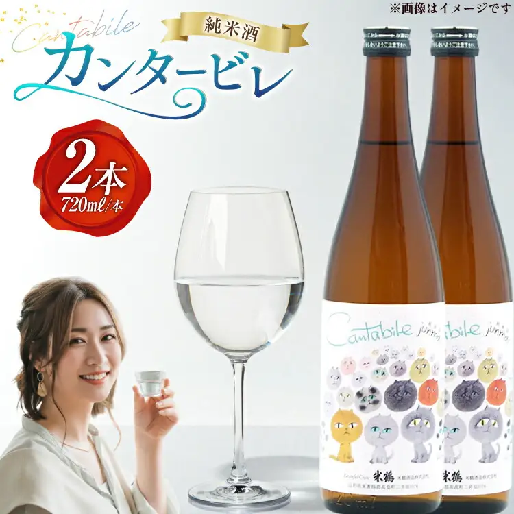 日本酒 辛口 純米カンタービレ 720ml 2本 セット [米鶴酒造 山形県 高畠町 tk06ays710013]