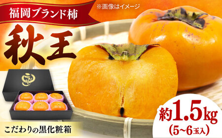 秋の贅沢、濃厚であまーい柿の新ブランド「秋王」約1.5kg こだわりの黒化粧箱／2026年10月-11月頃より発送予定 桂川町/一般社団法人地域商社ふるさぽ[ADCF009]