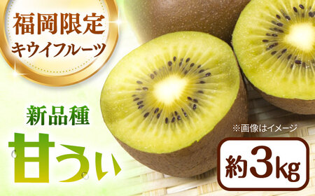 福岡限定品種キウイ「甘うぃ」約3kg／2026年11月頃より発送予定 桂川町/一般社団法人地域商社ふるさぽ[ADCF012]