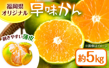 福岡県オリジナル品種極早生みかん『早味かん』約５kg／2026年9月頃より発送予定 桂川町/一般社団法人地域商社ふるさぽ[ADCF014]