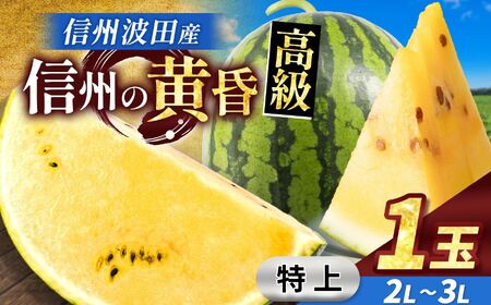 【先行受付】信州波田産 甘いスイカ！ 信州の黄昏 (金色羅皇) 【特上】 2L～3Lサイズ 1玉