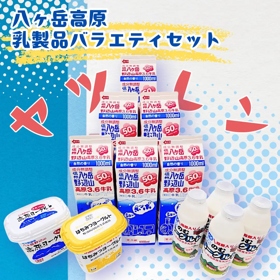 ヤツレン 八ヶ岳高原 乳製品バラエティセット［ME-101］