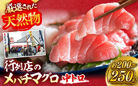 天然 まぐろ 中トロ メバチ（約200~250g（1柵入り））【横須賀商工会議所 おもてなしギフト事務局（本まぐろ直売所 横須賀本店）】[AKAK119]