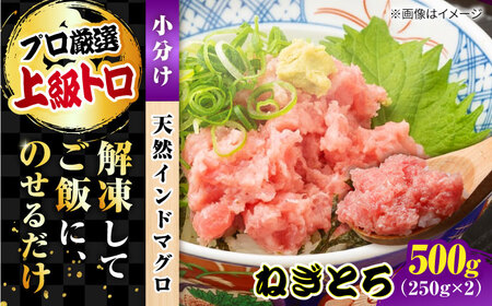 天然 まぐろ ねぎとろ 約500g（約250g×2パック）[AKAK121]