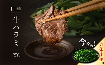 今だけ数量限定！九条ネギ付き！肉汁溢れる 国産牛ハラミ 250g 093-42-P