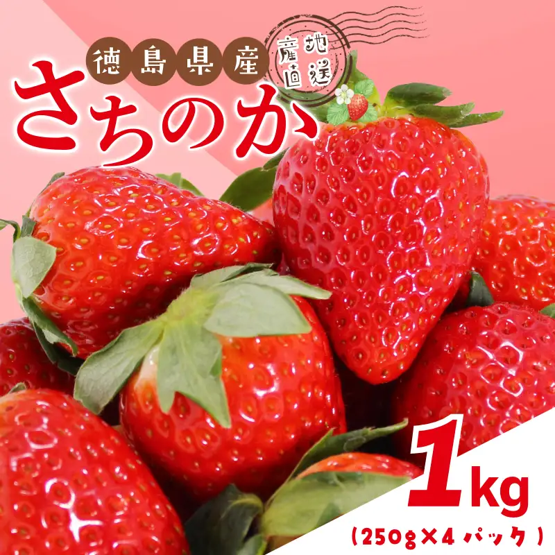 いちご 1kg さちのか 苺