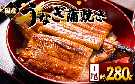 国産蒲焼きうなぎ ２８０ｇ １尾 うなぎ fb-0174