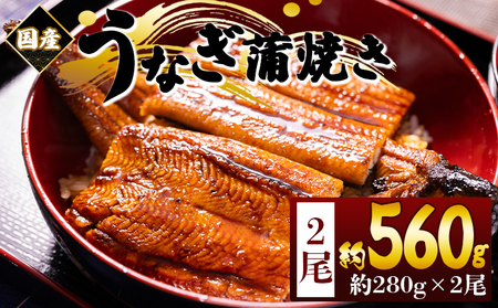 国産蒲焼きうなぎ ２８０ｇ ２尾 計５６０ｇ うなぎ fb-0175