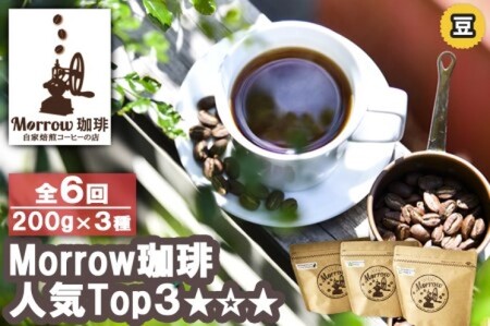 コーヒー 定期便 6ヶ月 「元珈琲嫌い」の店長が送る 自家焙煎 Morrow珈琲 人気TOP3 セット 豆 6回 お楽しみ 