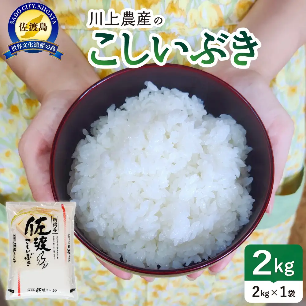 【レビューキャンペーン実施中！】令和7年産 佐渡 川上農産のこしいぶき（2kg）