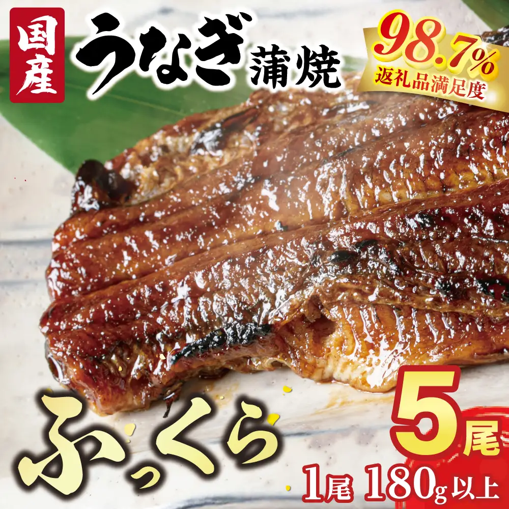うなぎ 蒲焼き 5尾 【FU05W】 国産 小分け うなぎ 真空パック 冷凍