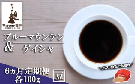 定期便 6ヶ月 自家焙煎 ブルーマウンテンNo.1＆ゲイシャ (豆) 各100g ポスト投函 珈琲 コーヒー 6回 お楽しみ Morrow珈琲 