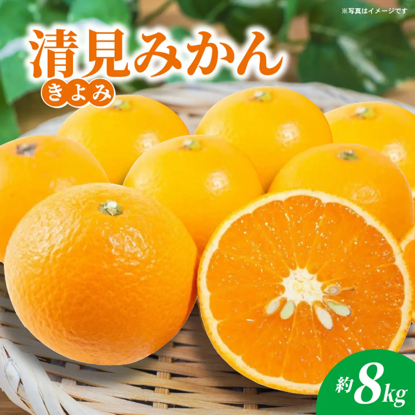 清見（きよみ）みかん 約8kg _c-141