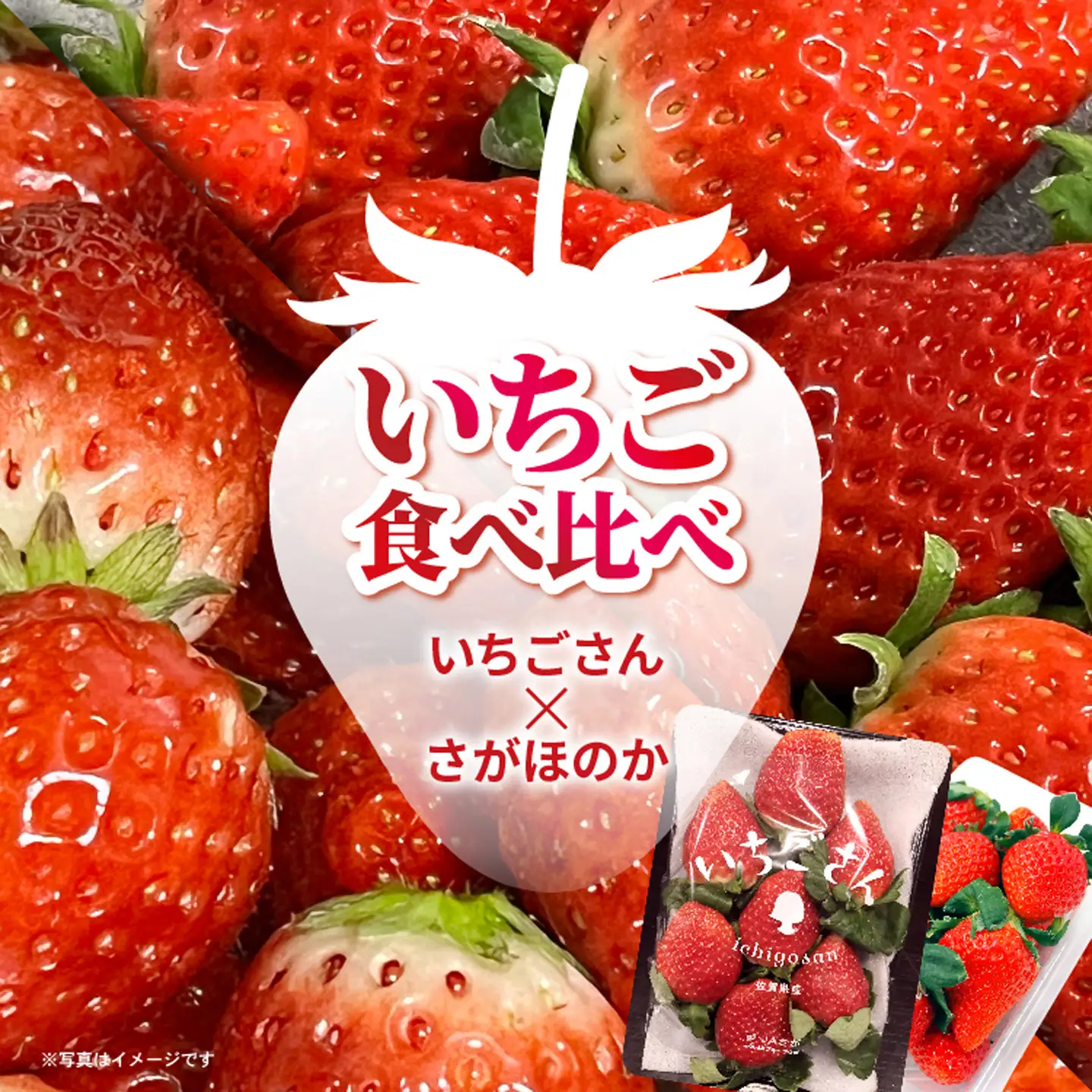 いちご食べ比べ（いちごさん・さがほのか） _b-497