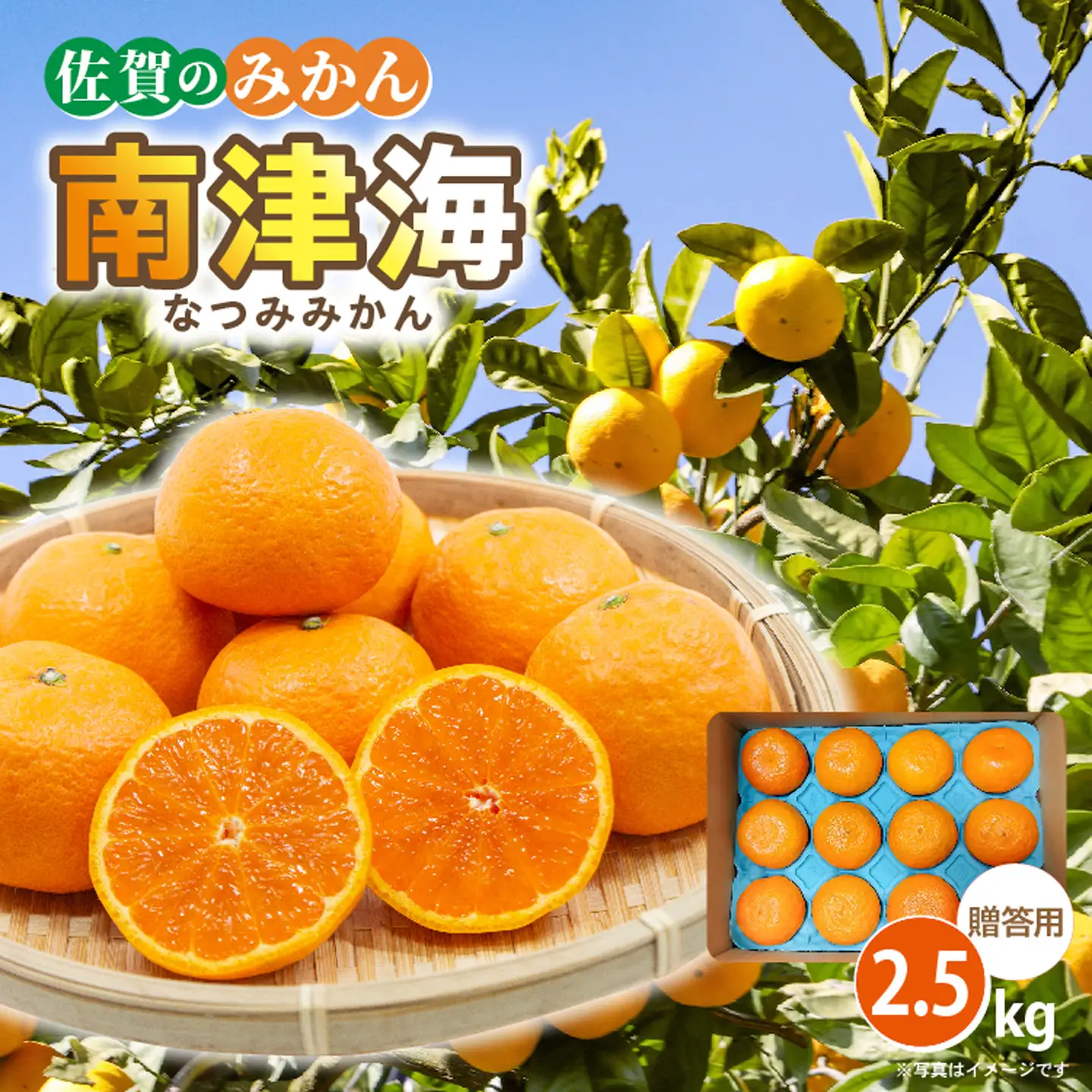 【贈答向け】南津海（なつみ）みかん 2.5kg _b-500