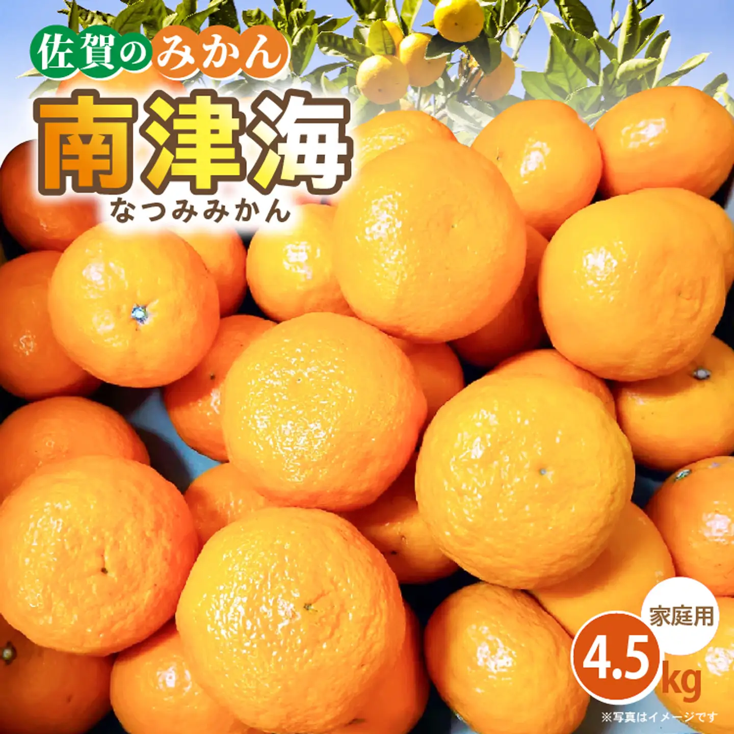【ご家庭向け】南津海（なつみ）みかん 4.5kg _b-501