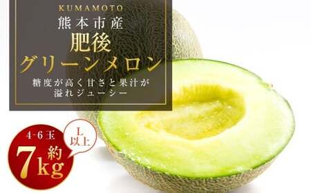 熊本市産 肥後グリーンメロン4-6玉 L以上 約7kg 【2026年4月下旬～2026年７月下旬発送予定】メロン 青肉 甘いフルーツ プレゼント 贈答 贈り物 果物 熊本県 
