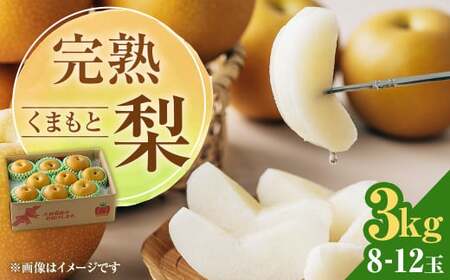  完熟 くまもと梨 3kg 【2026年8月下旬発送予定】 果物 フルーツ なし